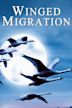 Winged Migration