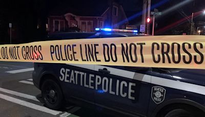 Man seriously injured, vehicle damaged in early morning north Seattle shooting