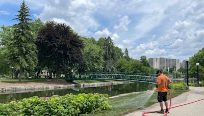 Roos Island in Kitchener's Victoria Park reopens, music series launches Sunday