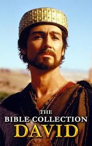 The Bible Collection: David