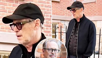 Steve Buscemi seen with black eye after being punched in random NYC attack