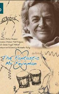 The Fantastic Mr Feynman