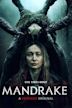 Mandrake