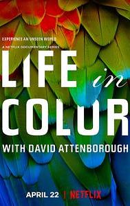 Life in Colour (miniseries)