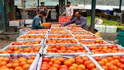 Are tomatoes making you see red? What's behind the rising cost?