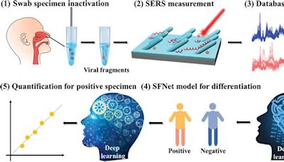 Researchers unveil faster and more accurate COVID test