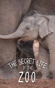 The Secret Life of the Zoo