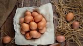 Estados Unidos analiza abrir una investigación para conocer por qué se disparó el precio del huevo