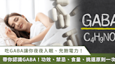 2024 最新 10 款 GABA 保健品推薦！入眠聖品 GABA 功效、何時吃、攝取量、挑選原則一次看 | 蕃新聞