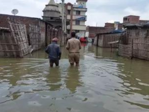 Bihar wants Centre to announce flood control steps, infra projects | India News - Times of India