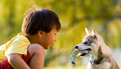 Shoppers Say This $8 Toy Pack Is a ‘Great Gift of Goodies’ for Puppies & Dogs