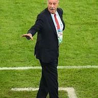 Vicente del Bosque