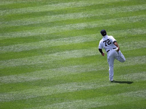 Inside Mike Ford’s baseball journey from Princeton to the Yankees to Japan