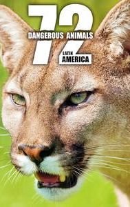 72 Dangerous Animals: Latin America