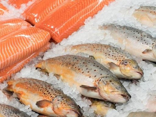 American Seafoods shelves sale plan, blames economic conditions