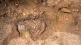 Scottish archaeologist among those to discover rare Napoleonic remains