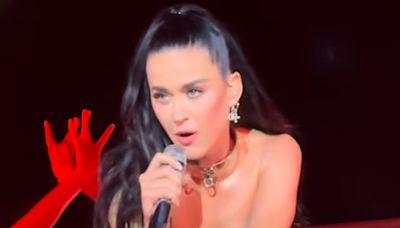 Katy Perry wears silver corset and dog collar at Italy show