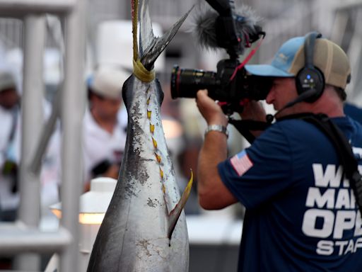 Livestream: White Marlin Open 2024 Day 2 in Ocean City