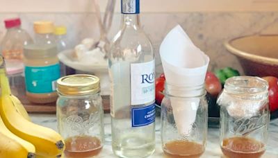 This DIY Hack for Getting Rid of Fruit Flies “Works Like Magic!”