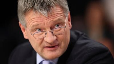 Spionagevorwürfe: Ex-AfD-Parteichef Meuthen kritisiert Nachfolger