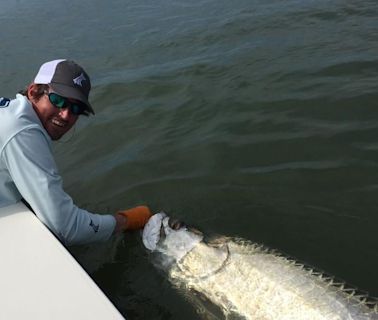 Tarpon time in Lowcountry waters