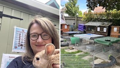 Meet the Croydon animal charity worker keeping 20 rescued rabbits in her garden