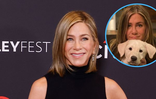 Jennifer Aniston 'Plans Her Life' Around Her Dogs and Fostering