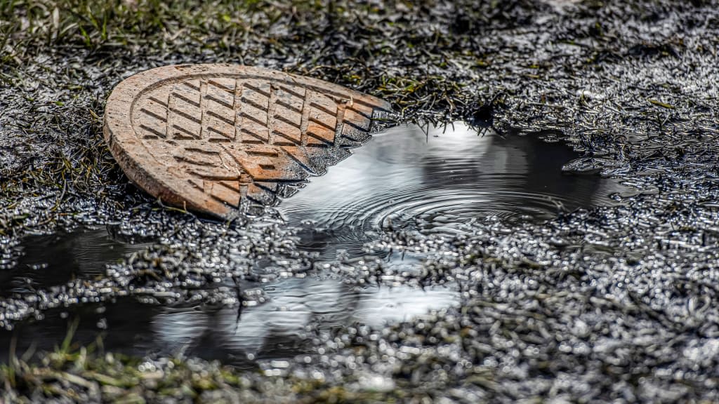 Jackson, Mississippi's drinking water has been brown for 2 years. The EPA could have prevented the crisis