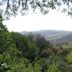 Monte Bello Open Space Preserve