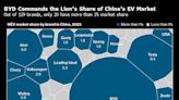 Tesla’s Shrinking China Market Share Compounds Global Woes