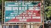 Green Tribunal Analyses Assam Forest Officials On Illegal Structures In Sonitpur