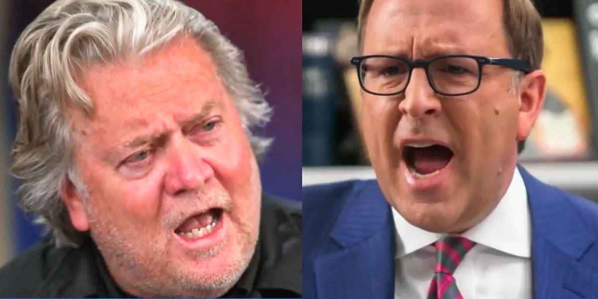 'I haven't seen Democrats storm the Capitol!' ABC host has angry clash with Steve Bannon