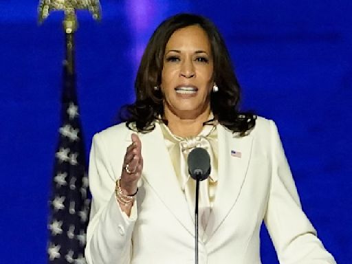 Kamala Harris symbol of hope and representation for over 4.4 million Indian-Americans, says Democratic fundraiser