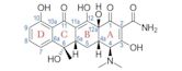 Tetracycline antibiotics