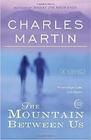 The Mountain Between Us