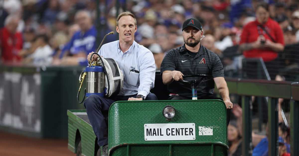 Handsome Beekeeper Who Saved MLB Game Goes Viral