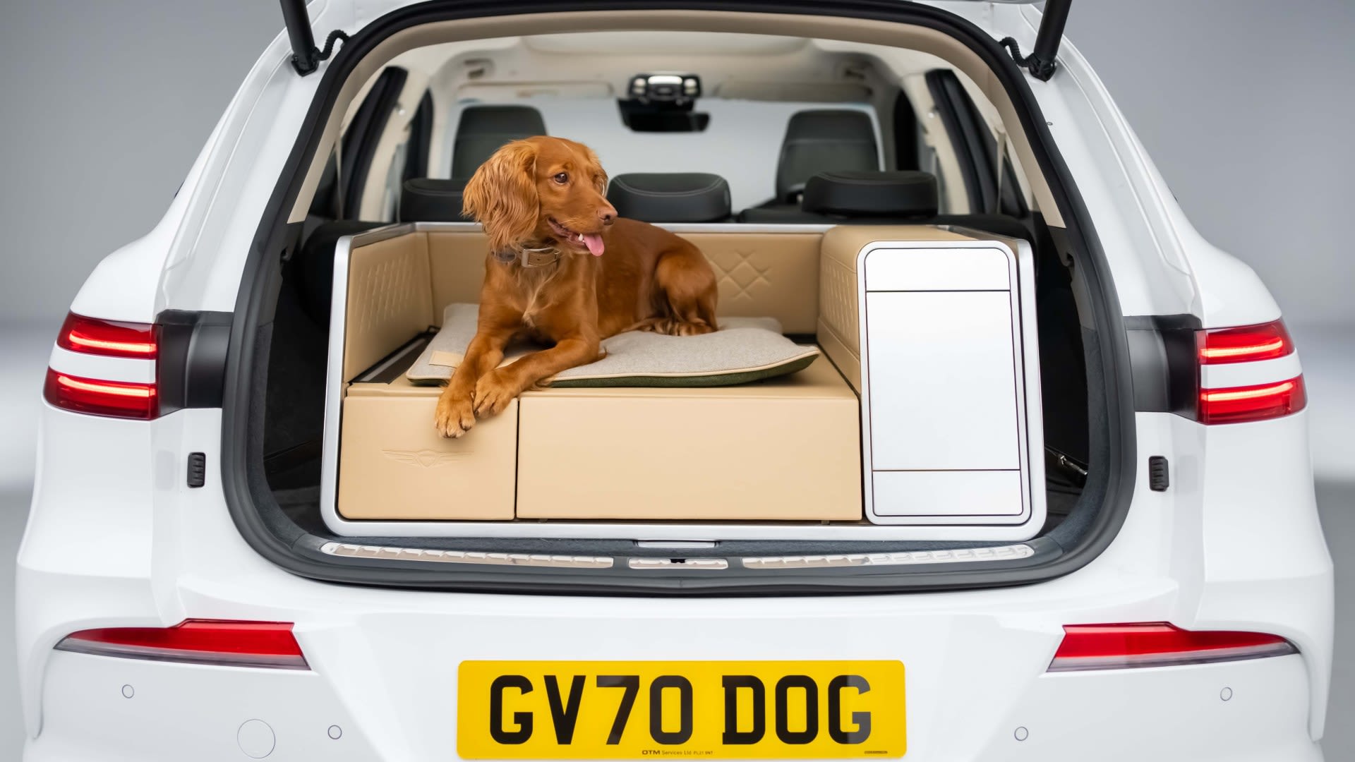 New dog-friendly car for pooches with luxury built-in shower and heated bed