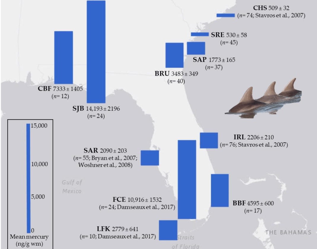 Federal study shows high mercury level in dolphins in the Southeast United States