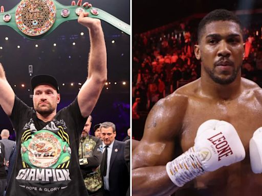 Tyson Fury vs Anthony Joshua is a fight between 'TWO LOSERS', says ex-champ