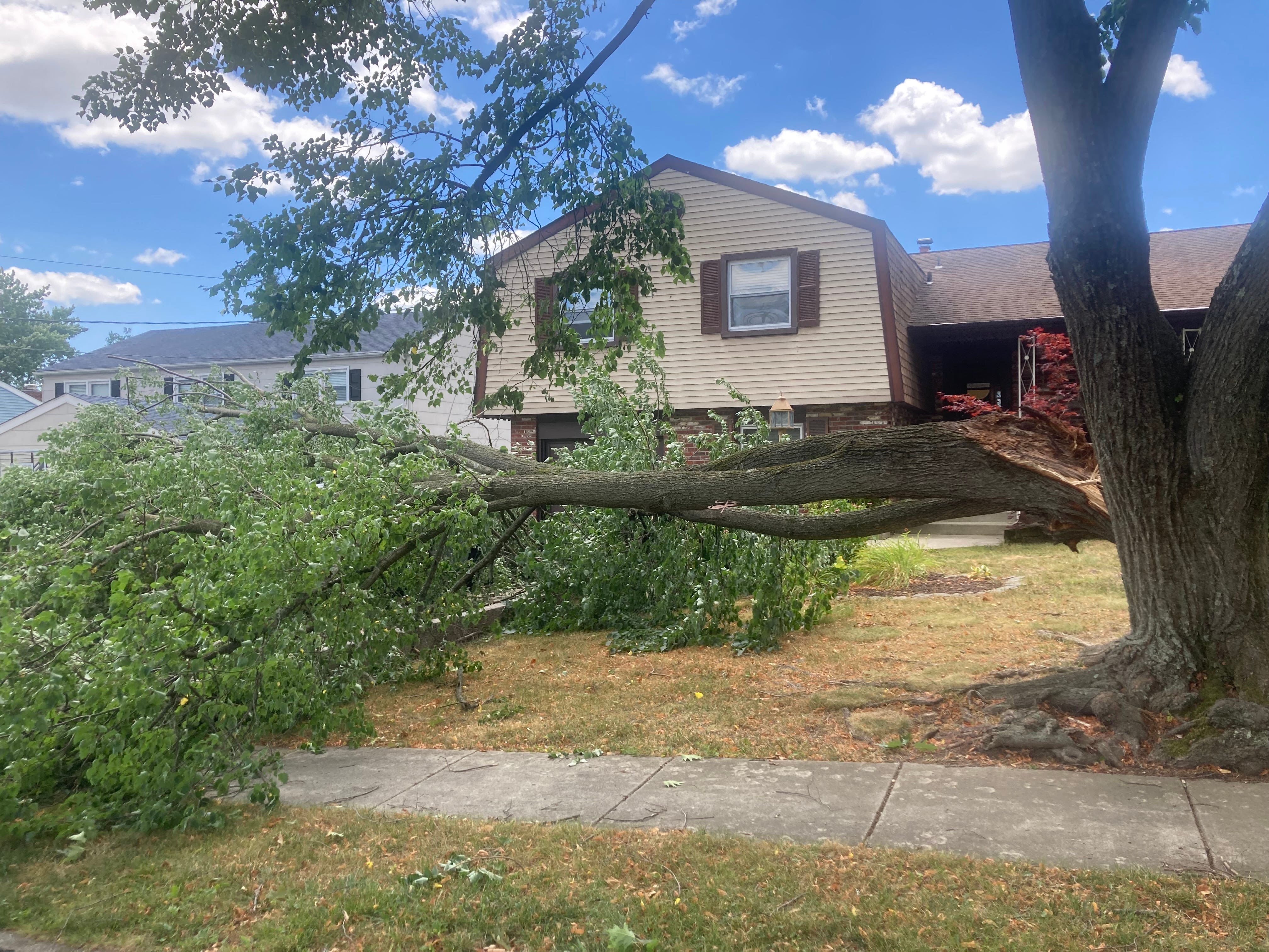 Sunday storms break South Jersey heat wave and topple trees