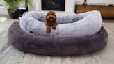 Plufl’s viral human dog bed now comes in an XL size