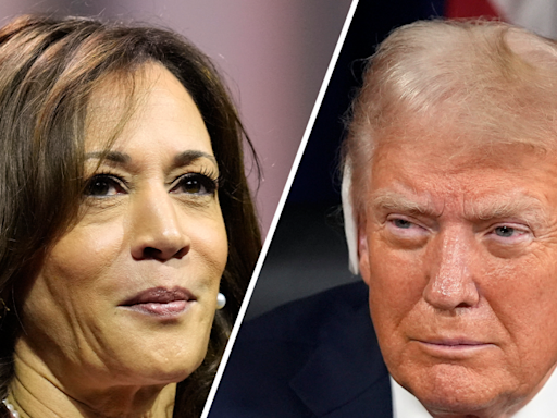 Trump edges out Harris in key swing states, ties with her in Wisconsin: Poll