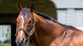 Mystik Dan's Derby Win Elevating Goldencents as Sire