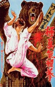 Karate Bearfighter