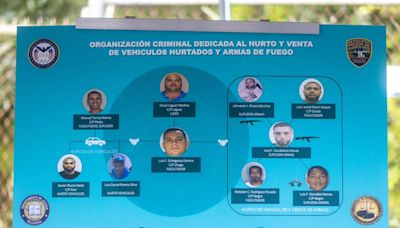 VIDEO: Policía ofrece detalles sobre arrestos en operativo de vehículos hurtados