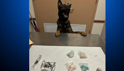 2 arrested after Livermore police dog finds fentanyl, meth in broken down vehicle