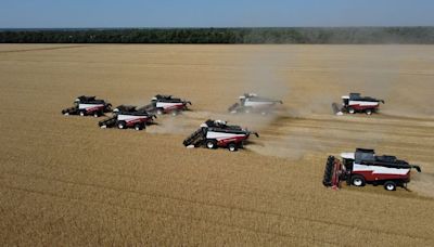 Agricultores rusos luchan por salvar la cosecha mientras principales regiones reducen previsiones