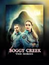 Boggy Creek: The Series