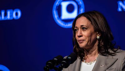 'This is not over': Harris warns Supreme Court may target gay marriage, contraception next