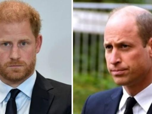 Prince Harry seemingly takes a dig at William for saying Princess Diana had ‘paranoia’: ‘She was absolutely right of…’